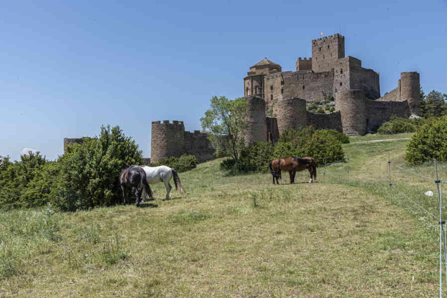 Huesca - Loarre - castillo de Loarre 10.jpg